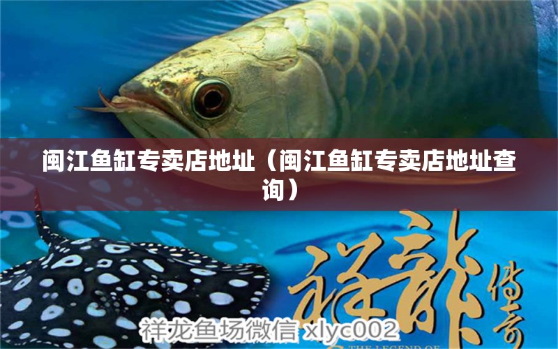 閩江魚缸專賣店地址（閩江魚缸專賣店地址查詢） 祥龍水族醫(yī)院