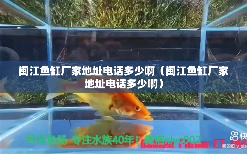 閩江魚缸廠家地址電話多少?。ㄩ}江魚缸廠家地址電話多少啊） 祥龍水族醫(yī)院