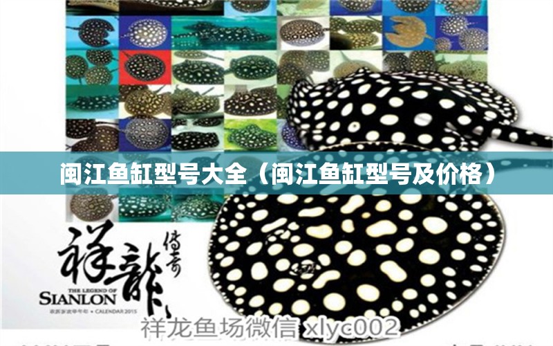 閩江魚缸型號(hào)大全（閩江魚缸型號(hào)及價(jià)格） 廣州龍魚批發(fā)市場(chǎng)