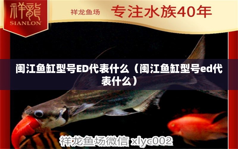 閩江魚缸型號(hào)ED代表什么（閩江魚缸型號(hào)ed代表什么） 短身紅龍魚