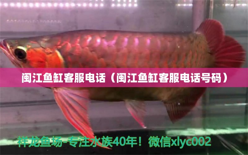 閩江魚缸客服電話（閩江魚缸客服電話號(hào)碼）