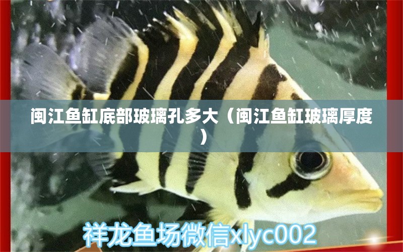 閩江魚缸底部玻璃孔多大（閩江魚缸玻璃厚度） 祥龍水族醫(yī)院