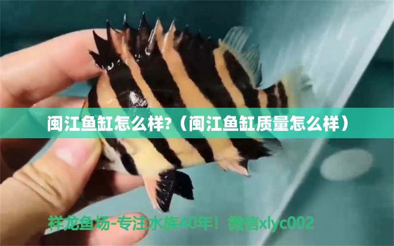 閩江魚(yú)缸怎么樣?（閩江魚(yú)缸質(zhì)量怎么樣） 廣州祥龍國(guó)際水族貿(mào)易