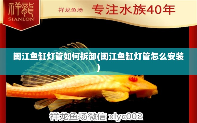 閩江魚缸燈管如何拆卸(閩江魚缸燈管怎么安裝) 非洲象鼻魚