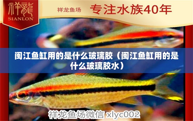 閩江魚(yú)缸用的是什么玻璃膠（閩江魚(yú)缸用的是什么玻璃膠水）