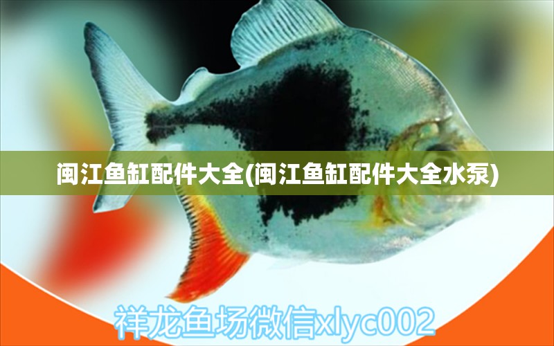 閩江魚(yú)缸配件大全(閩江魚(yú)缸配件大全水泵) 祥龍進(jìn)口元寶鳳凰魚(yú) 第1張