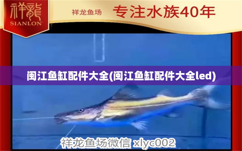 閩江魚缸配件大全(閩江魚缸配件大全led) 七紋巨鯉魚 第1張