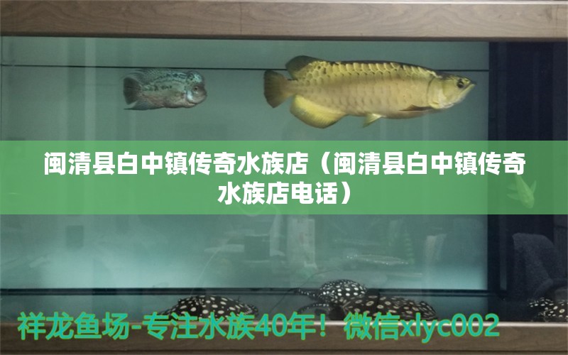 閩清縣白中鎮(zhèn)傳奇水族店（閩清縣白中鎮(zhèn)傳奇水族店電話）