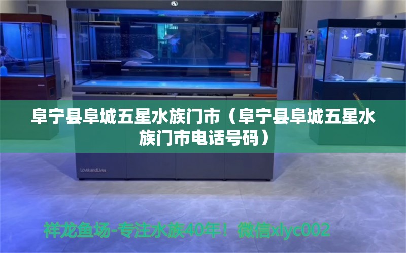 阜寧縣阜城五星水族門市（阜寧縣阜城五星水族門市電話號(hào)碼）