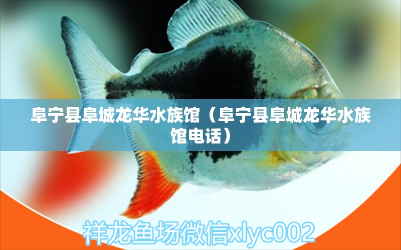 阜寧縣阜城龍華水族館（阜寧縣阜城龍華水族館電話）