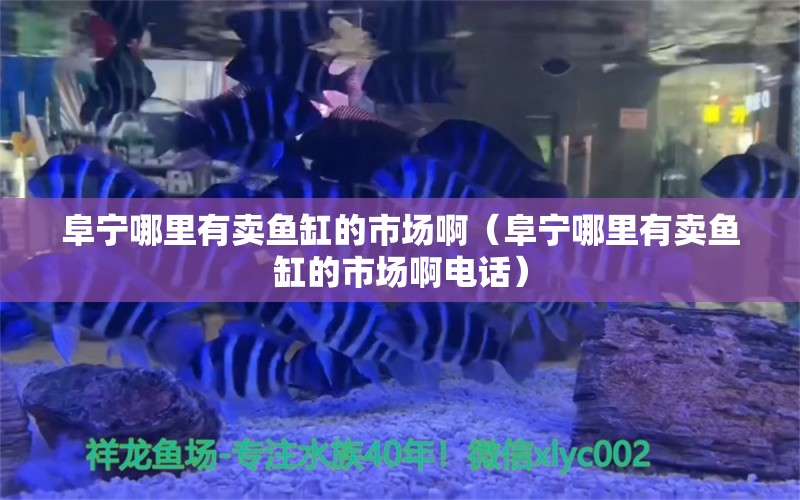 阜寧哪里有賣魚缸的市場?。ǜ穼幠睦镉匈u魚缸的市場啊電話）