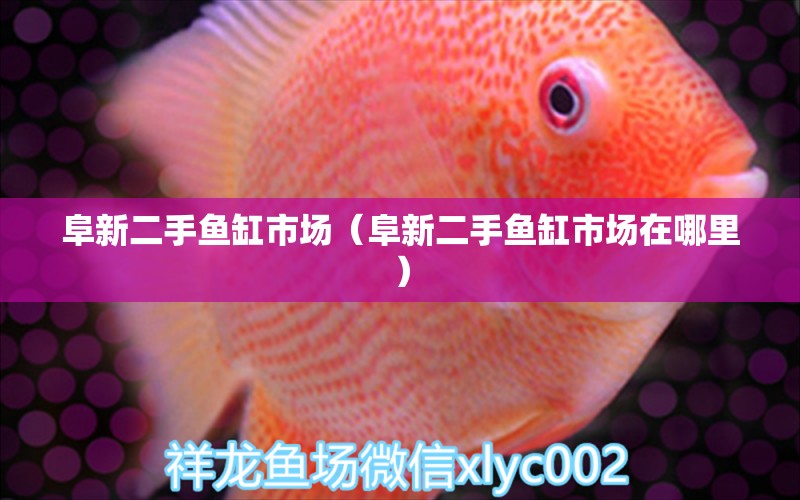 阜新二手魚缸市場（阜新二手魚缸市場在哪里） 其他品牌魚缸