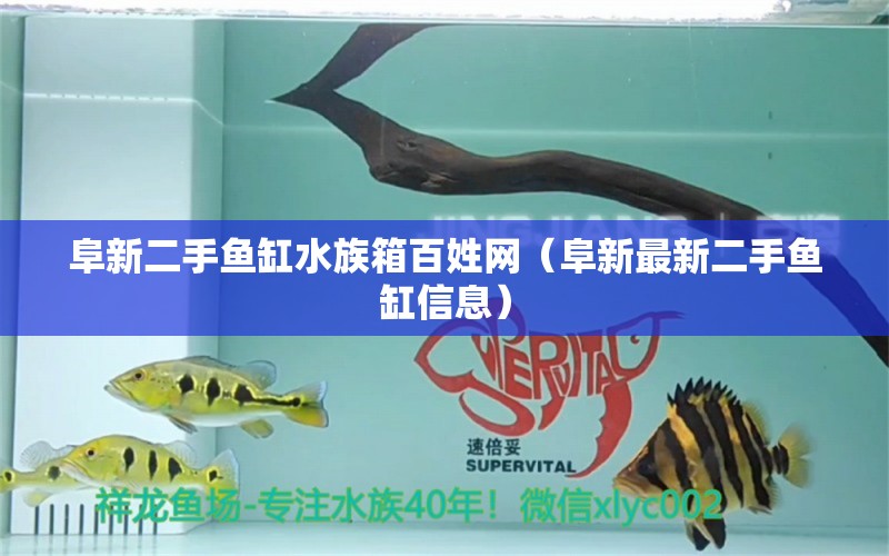 阜新二手魚缸水族箱百姓網(wǎng)（阜新最新二手魚缸信息）