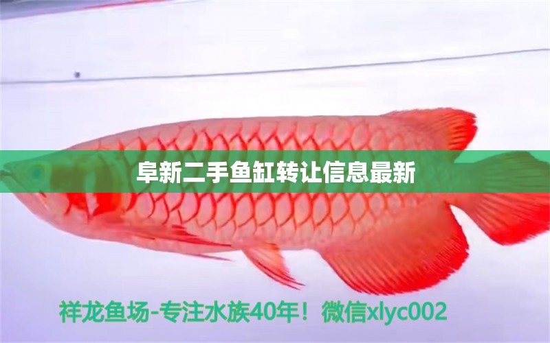 阜新二手魚缸轉(zhuǎn)讓信息最新