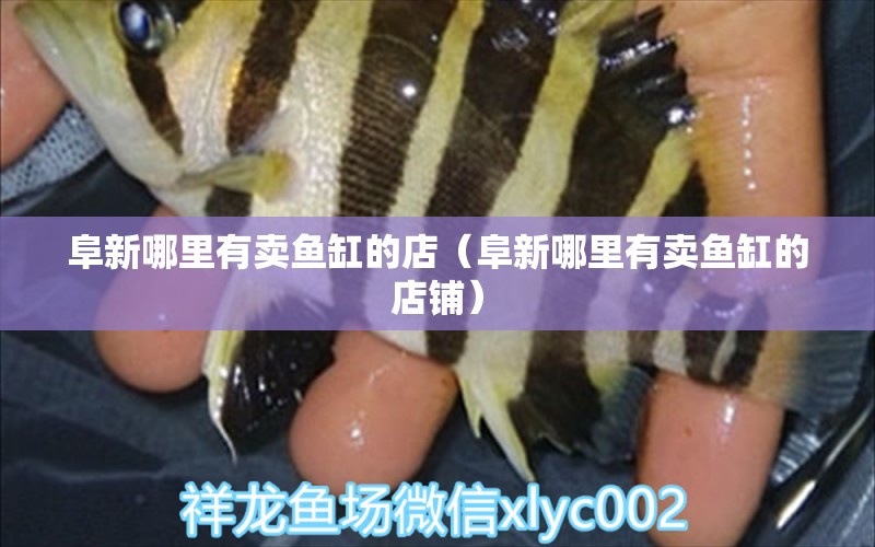 阜新哪里有賣魚缸的店（阜新哪里有賣魚缸的店鋪）