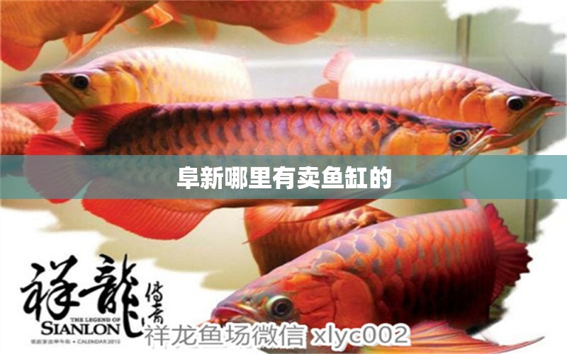 阜新哪里有賣魚缸的