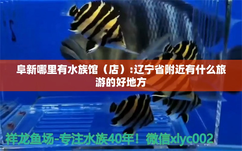 阜新哪里有水族館（店）:遼寧省附近有什么旅游的好地方 觀賞魚水族批發(fā)市場