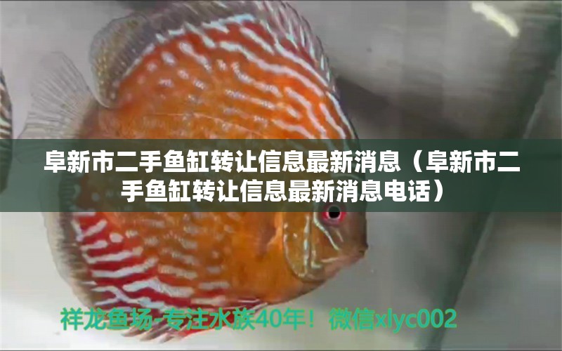 阜新市二手魚缸轉(zhuǎn)讓信息最新消息（阜新市二手魚缸轉(zhuǎn)讓信息最新消息電話） 祥龍水族醫(yī)院