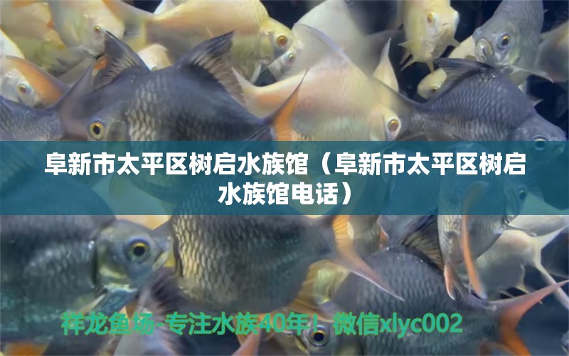 阜新市太平區(qū)樹啟水族館（阜新市太平區(qū)樹啟水族館電話）