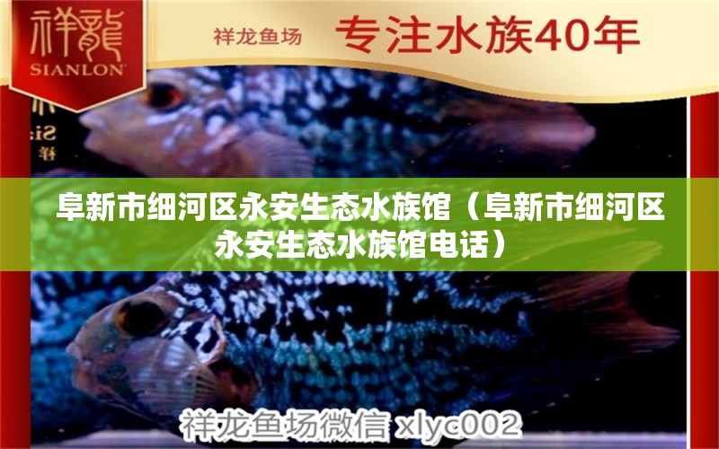 阜新市細(xì)河區(qū)永安生態(tài)水族館（阜新市細(xì)河區(qū)永安生態(tài)水族館電話） 全國(guó)水族館企業(yè)名錄