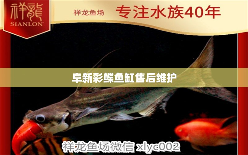 阜新彩鰈魚缸售后維護(hù)