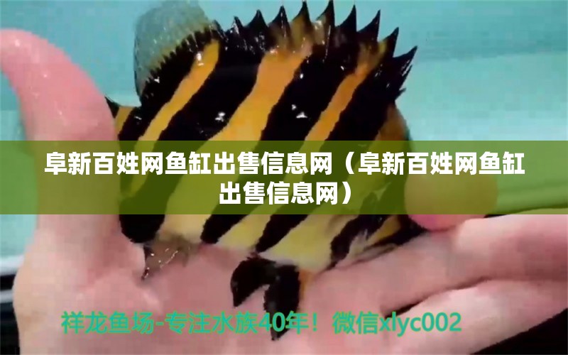 阜新百姓網(wǎng)魚缸出售信息網(wǎng)（阜新百姓網(wǎng)魚缸出售信息網(wǎng)）