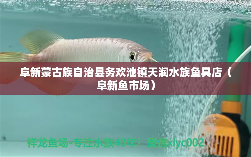 阜新蒙古族自治縣務(wù)歡池鎮(zhèn)天潤(rùn)水族魚具店（阜新魚市場(chǎng)）