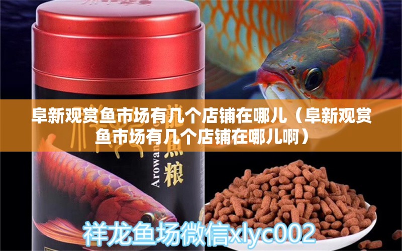 阜新觀賞魚市場有幾個店鋪在哪兒（阜新觀賞魚市場有幾個店鋪在哪兒?。?觀賞魚市場（混養(yǎng)魚）