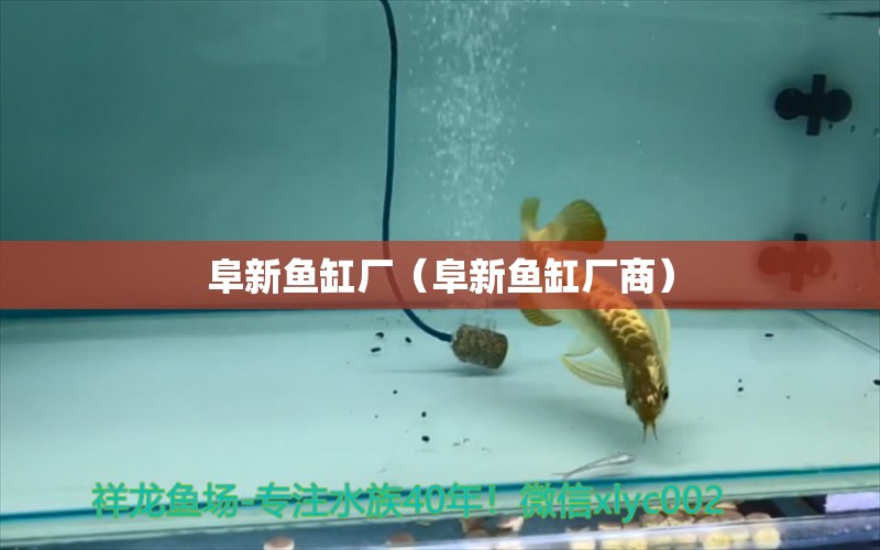 阜新魚(yú)缸廠（阜新魚(yú)缸廠商）