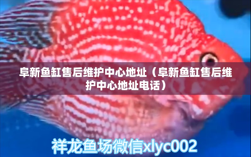 阜新魚缸售后維護(hù)中心地址（阜新魚缸售后維護(hù)中心地址電話）