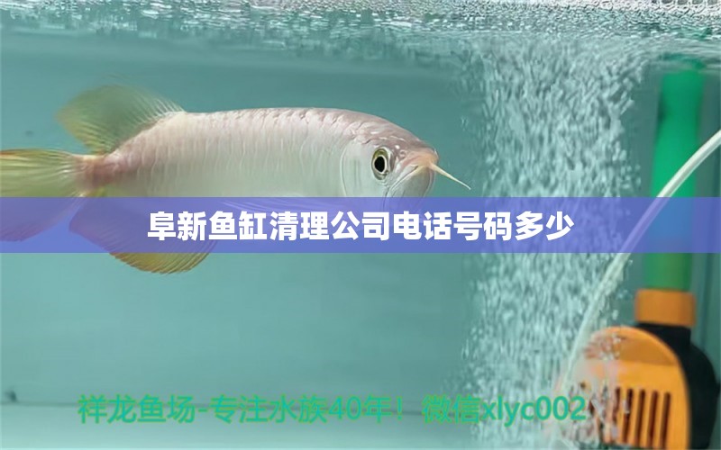 阜新魚缸清理公司電話號碼多少 祥龍魚場