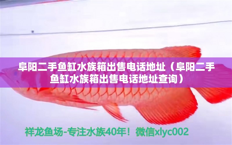 阜陽二手魚缸水族箱出售電話地址（阜陽二手魚缸水族箱出售電話地址查詢） 魚缸/水族箱