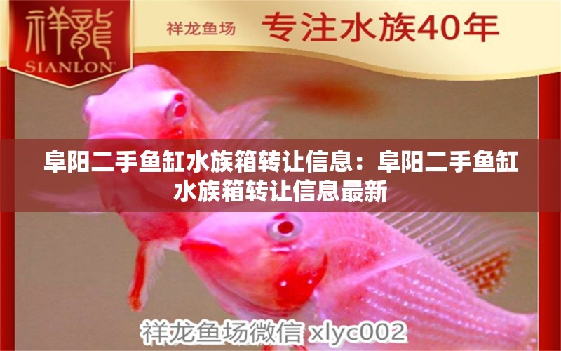 阜陽二手魚缸水族箱轉(zhuǎn)讓信息：阜陽二手魚缸水族箱轉(zhuǎn)讓信息最新 魚缸/水族箱