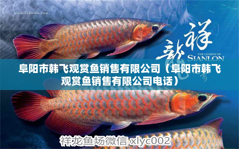 阜陽市韓飛觀賞魚銷售有限公司（阜陽市韓飛觀賞魚銷售有限公司電話）