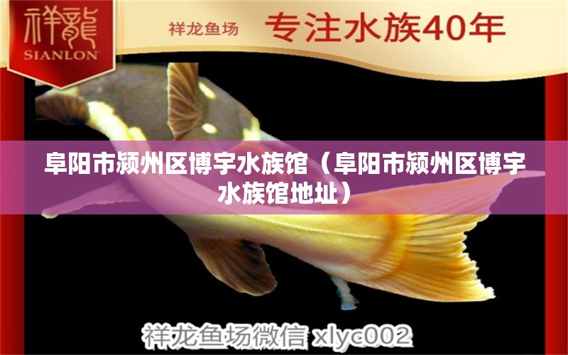 阜陽市潁州區(qū)博宇水族館（阜陽市潁州區(qū)博宇水族館地址）