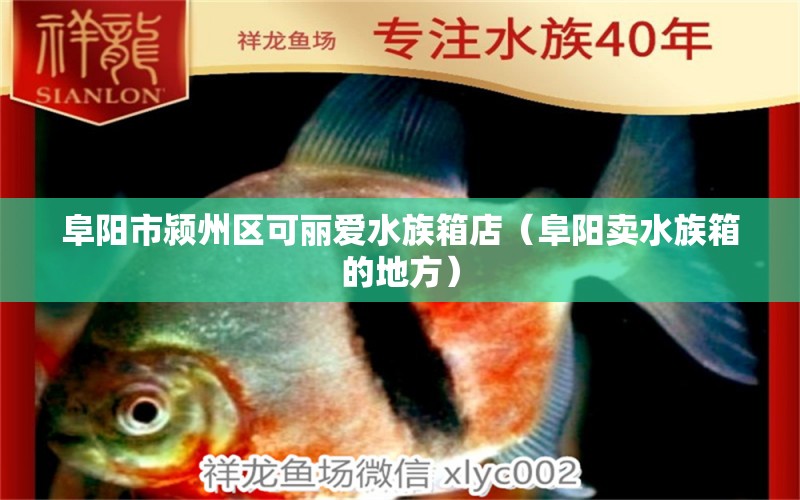 阜陽市潁州區(qū)可麗愛水族箱店（阜陽賣水族箱的地方）