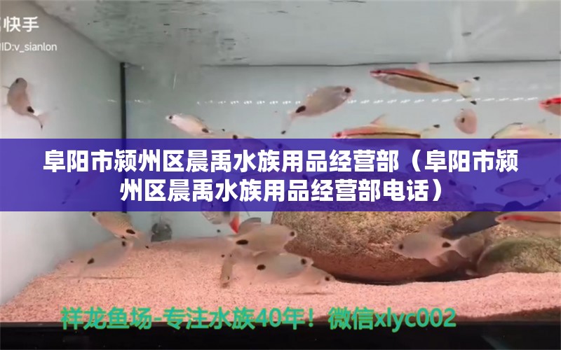 阜陽市潁州區(qū)晨禹水族用品經(jīng)營部（阜陽市潁州區(qū)晨禹水族用品經(jīng)營部電話） 水族用品