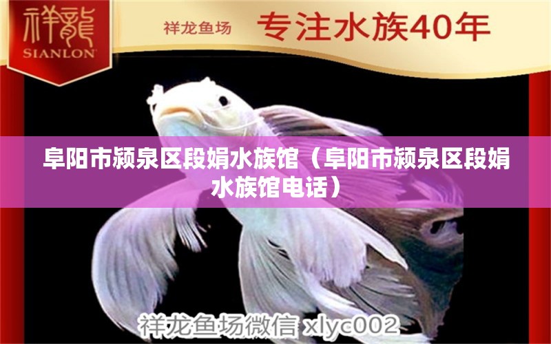 阜陽(yáng)市潁泉區(qū)段娟水族館（阜陽(yáng)市潁泉區(qū)段娟水族館電話）