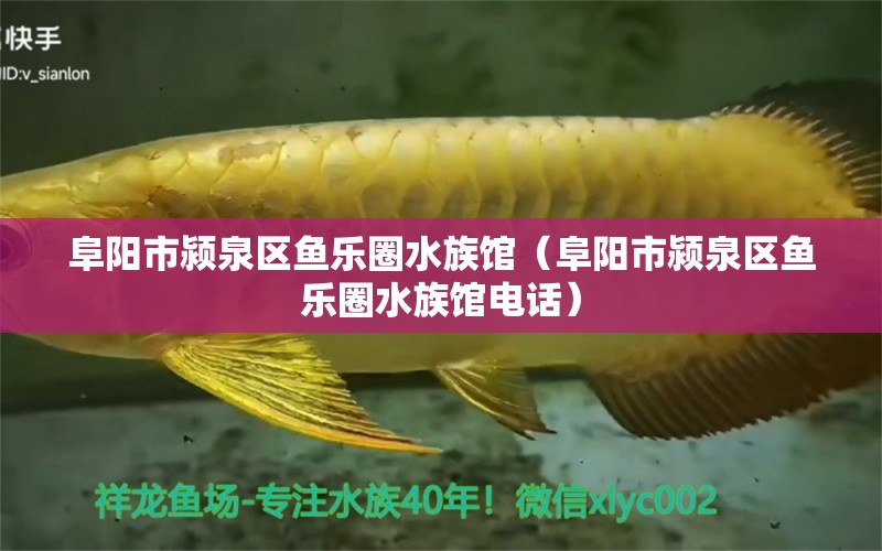 阜陽(yáng)市潁泉區(qū)魚樂(lè)圈水族館（阜陽(yáng)市潁泉區(qū)魚樂(lè)圈水族館電話）