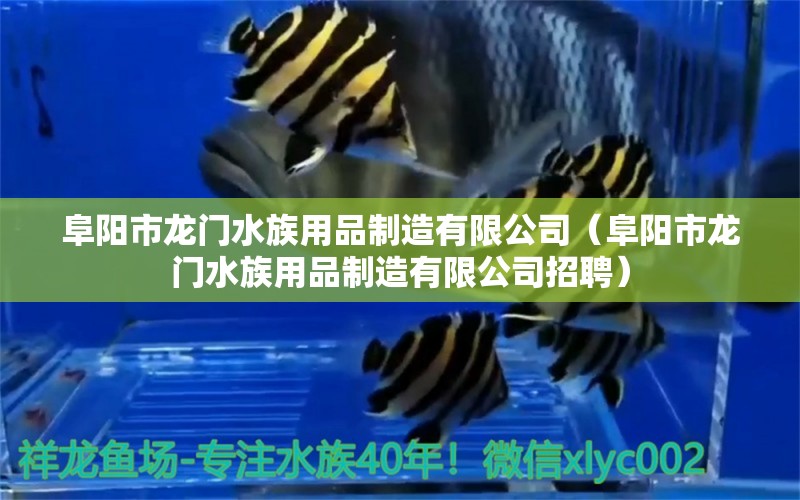 阜陽(yáng)市龍門(mén)水族用品制造有限公司（阜陽(yáng)市龍門(mén)水族用品制造有限公司招聘）