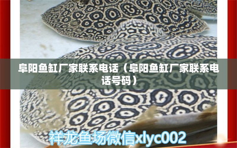 阜陽(yáng)魚(yú)缸廠家聯(lián)系電話(huà)（阜陽(yáng)魚(yú)缸廠家聯(lián)系電話(huà)號(hào)碼）