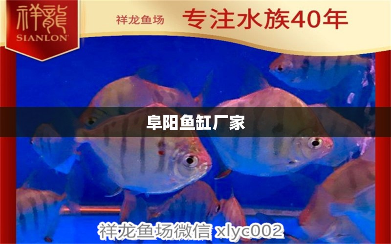 阜陽(yáng)魚缸廠家