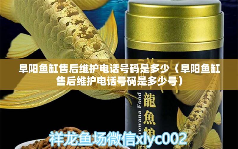 阜陽魚缸售后維護電話號碼是多少（阜陽魚缸售后維護電話號碼是多少號） 其他品牌魚缸