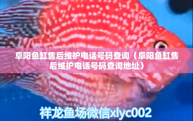 阜陽(yáng)魚(yú)缸售后維護(hù)電話(huà)號(hào)碼查詢(xún)（阜陽(yáng)魚(yú)缸售后維護(hù)電話(huà)號(hào)碼查詢(xún)地址） 其他品牌魚(yú)缸