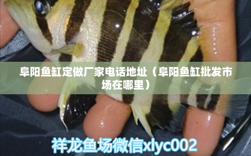 阜陽(yáng)魚缸定做廠家電話地址（阜陽(yáng)魚缸批發(fā)市場(chǎng)在哪里）