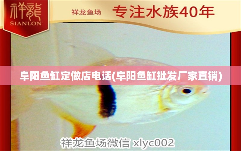 阜陽魚缸定做店電話(阜陽魚缸批發(fā)廠家直銷) 其它水族用具設(shè)備