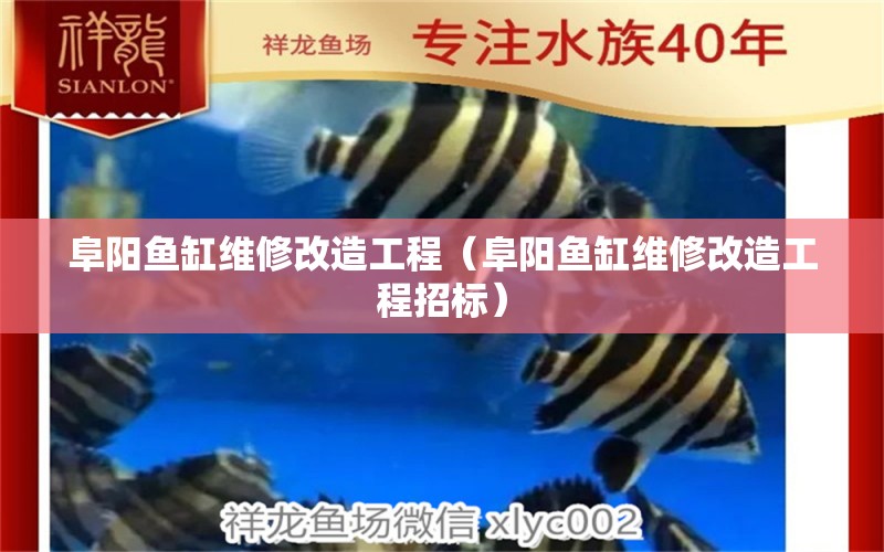 阜陽魚缸維修改造工程（阜陽魚缸維修改造工程招標）