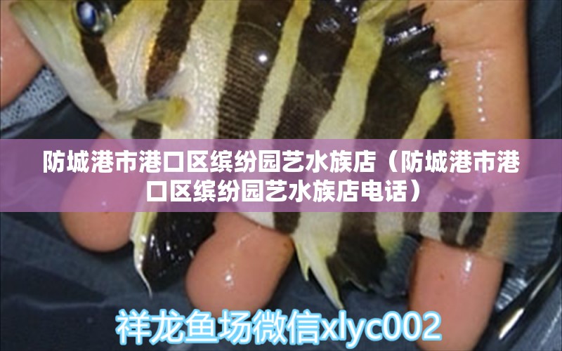 防城港市港口區(qū)繽紛園藝水族店（防城港市港口區(qū)繽紛園藝水族店電話） 全國水族館企業(yè)名錄