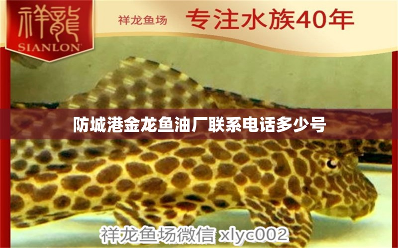 防城港金龍魚(yú)油廠聯(lián)系電話(huà)多少號(hào)