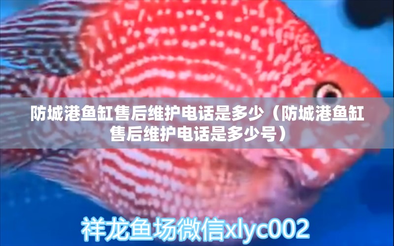 防城港魚(yú)缸售后維護(hù)電話是多少（防城港魚(yú)缸售后維護(hù)電話是多少號(hào)）